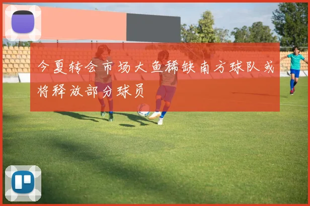 今夏转会市场大鱼稀缺南方球队或将释放部分球员