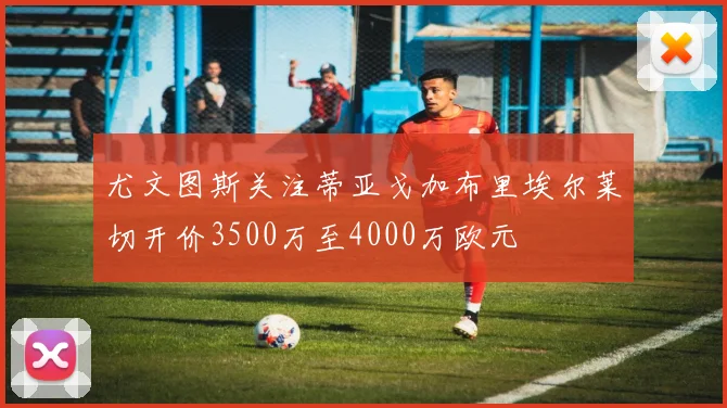 尤文图斯关注蒂亚戈加布里埃尔莱切开价3500万至4000万欧元