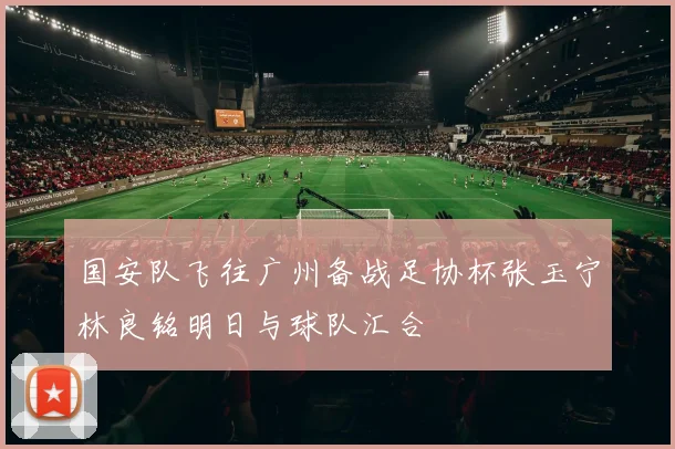国安队飞往广州备战足协杯张玉宁林良铭明日与球队汇合